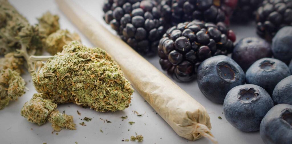 cannabis-blueberry-post-1024x507
